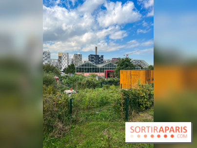 Le Grand Parc des Docks, à Saint-Ouen - image00231