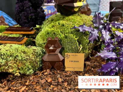 Alain Ducasse - Chocolats de Noël 2023 - 1D457CCD 35EE 42A9 B289 B94B4C0D8FC9