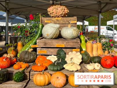 Automne au Potager du Roi - Citrouilles - Halloween