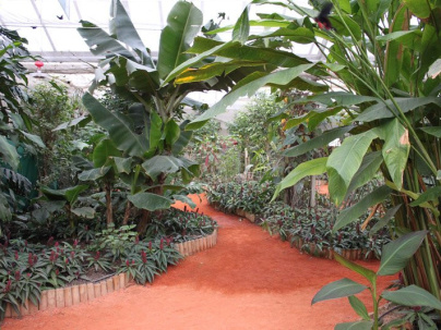 La serre aux papillons