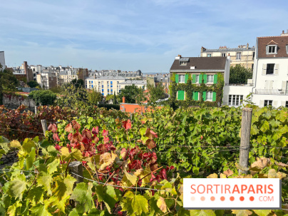 Vignes Montmartre