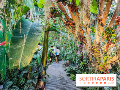 Automne Tropical 2023