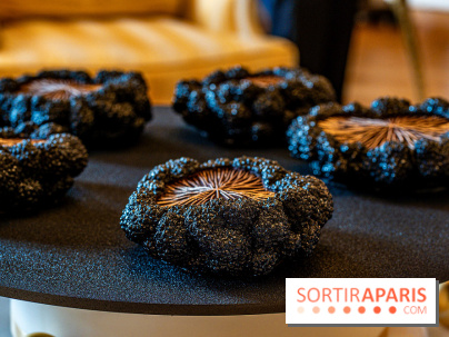 Bûche de Noël du Shangri-La Paris 2023 et galette des rois 2024  - A7C1788