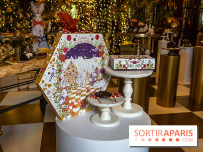 Bûches de Noël 2023 et galette 2024 de Lenôtre  - A7C0836