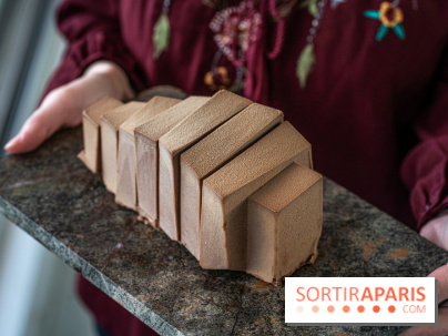 Bûche de Noël d’Aurelien Cohen 2023  - A7C4098