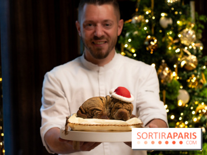 Bûche de Noël du Lutetia 2023 et galette des rois 2024 par Nicolas Guercio  -  A7C0649