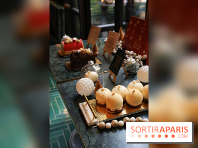 Les Bûches de Noël IG Bas des Belles Envies 2023 - IMG 2772