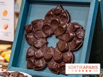 Les Bûches de Noël 2023, calendrier de l'Avent et galette des rois 2024 de Jardin Sucré -  A7C4366