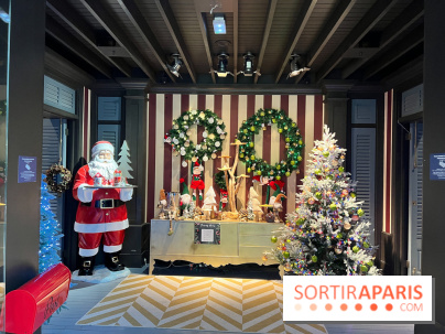 Un Noël Magique à So Ouest - IMG 8330