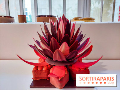 Bûches et chocolats de Noël 2023 de Pierre Marcolini, nos photos - 20230907 112607