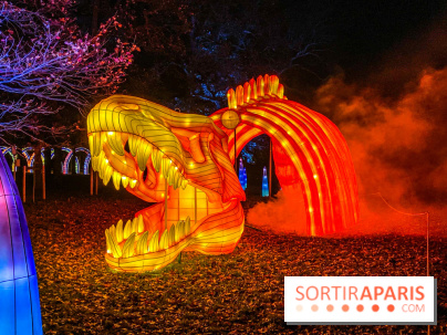 Odyssée Lumineuse, le festival des lumières au Parc Floral - IMG 2527