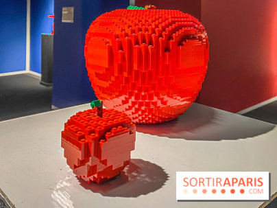 Expo The Art of The Brick Galerie Montparnasse - IMG 3134