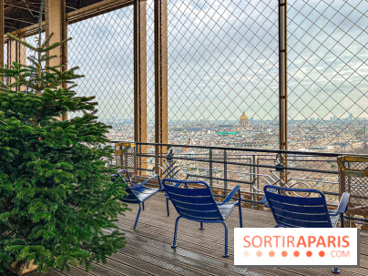 Marché de Noël de la tour Eiffel - image00045