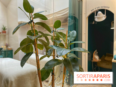 Dream Machine - IMG 7694