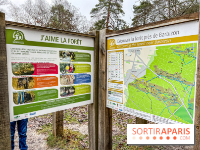 Le sentier de l'érosion à Fontainebleau - balade en forêt - IMG 6595