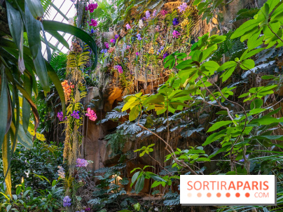 1001 Orchidées 2024, les photos de l'exposition florale dans les Grandes Serres du Muséum