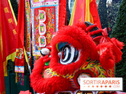 Visuels Nouvel An Lunaire / Nouvel An Chinois - DSC 0669