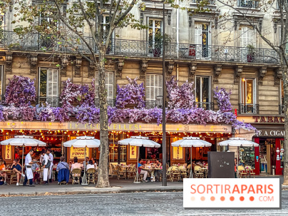 Visuel Paris 17e - IMG 1120