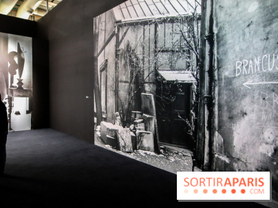 Brancusi au Centre Pompidou, nos photos