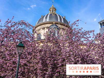 Square Gabriel Pierné à Paris - cerisiers en fleurs