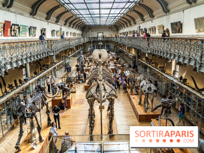 La Galerie de Paléontologie et d'Anatomie comparée du Muséum au Jardin des Plantes