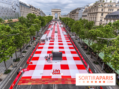 Grand pique nique des Champs-Élysées - photos