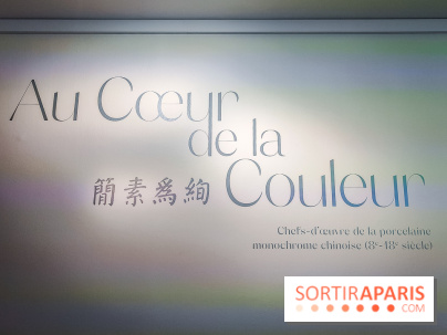 Au cœur de la couleur : l'exposition autour de la porcelaine de Chine au musée Guimet - nos photos