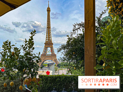 Limonaia Urbana - masterclasses et dégustations à l'italienne au Café de l'Homme - image00019