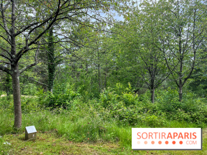 Arboretum de la Roche-Guyon - nos photos - image00015