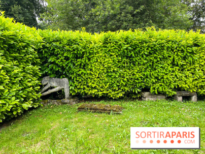 Le Jardin du Yoga à la Roche-Guyon - nos photos - image00018