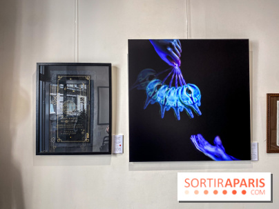 Le Cabinet de l’Oracle : l'exposition ésotérique à la galerie La Lison - IMG 8616