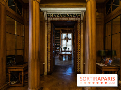 La bibliothèque Mazarine à l'Institut de France - les photos  -  A7C2055