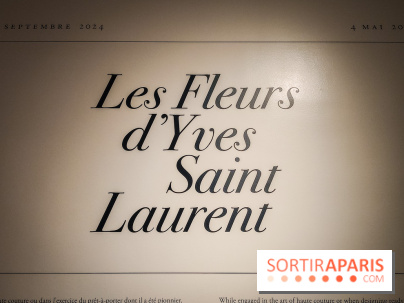 Les fleurs d'Yves Saint Laurent : l'exposition se dévoile en images au musée YSL - IMG20240919095711
