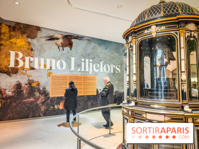 Bruno Liljefors, la Suède sauvage : l'exposition poétique se dévoile en images au Petit Palais - IMG20240930093907