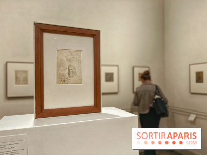 Naissance et Renaissance du dessin italien - IMG 4952