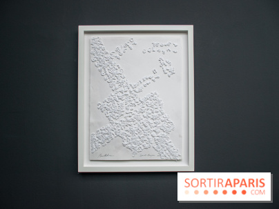 Exposition Barbara Chase-Riboud au Palais de Tokyo :  - DSC 1584