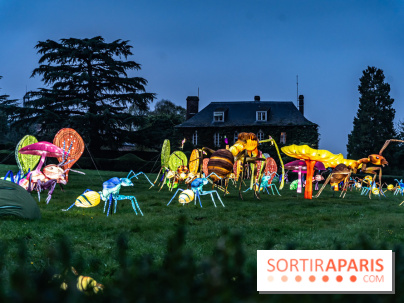 Thoiry Lumières Sauvages 2024, les Voyages Extraordinaires de Jules Verne - photos