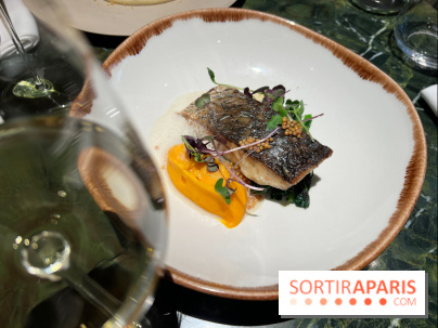 Onyx - Poisson, carotte, gingembre