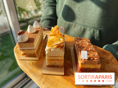 Bûches 2024 Land&Monkeys - IMG 7481