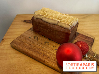 Bûches de Noël Giardino - IMG 7586