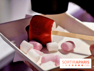 Le Pop-Up Store Yves Saint-Laurent Beauté à Pairs - IMG 5227