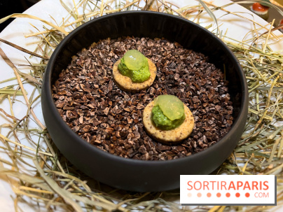 Campelli - Tartelette menthe estragon, piment