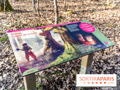 Balade sentier : Conte de Mélida, l'esprit de la forêt en forêt de Méridon (78)