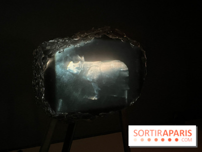 Paysages mouvants - IMG 8717