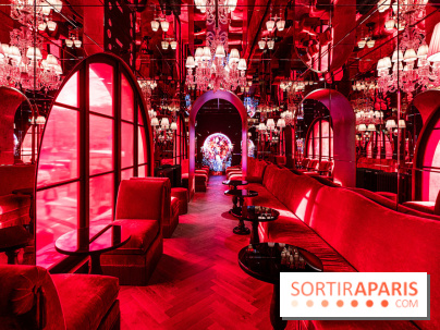 L'Hôtel Sax à Paris se dévoile - les photos - A7C04678 HDR