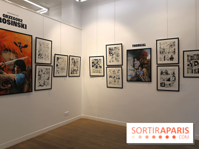 Rétrospective Grzegorz Rosinski, nos photos de l'expo gratuite à Paris - Expo Thorgal 18 fotor 20250425115835