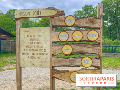 Mission Forêt - IMG 2141