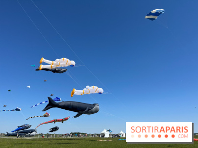 Festival de Cerfs-Volants à la Base 217