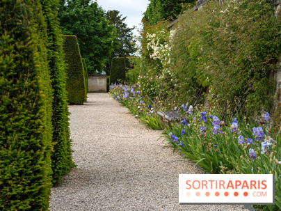 Exposition Van Gogh, les derniers voyages - photos - A7C08679