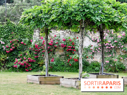 Maison Blanche le restaurant gastronomique du Mesnil Saint-Denis (93) - IMG 1038